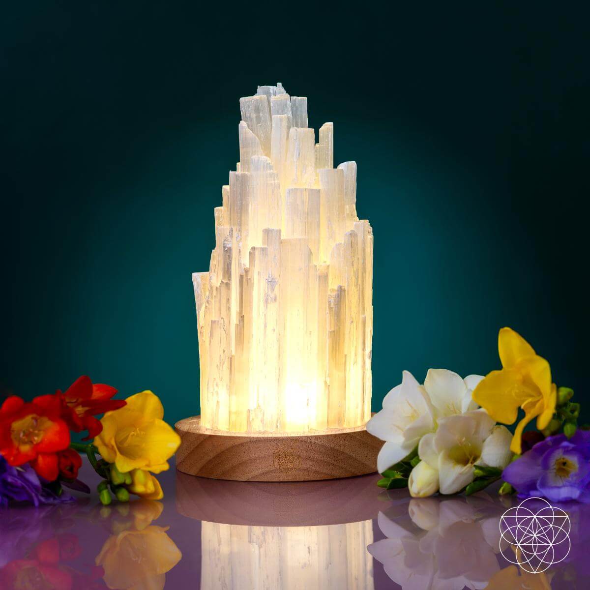 Natural Selenite Accent Lamp – Handcrafted Ambient Light
