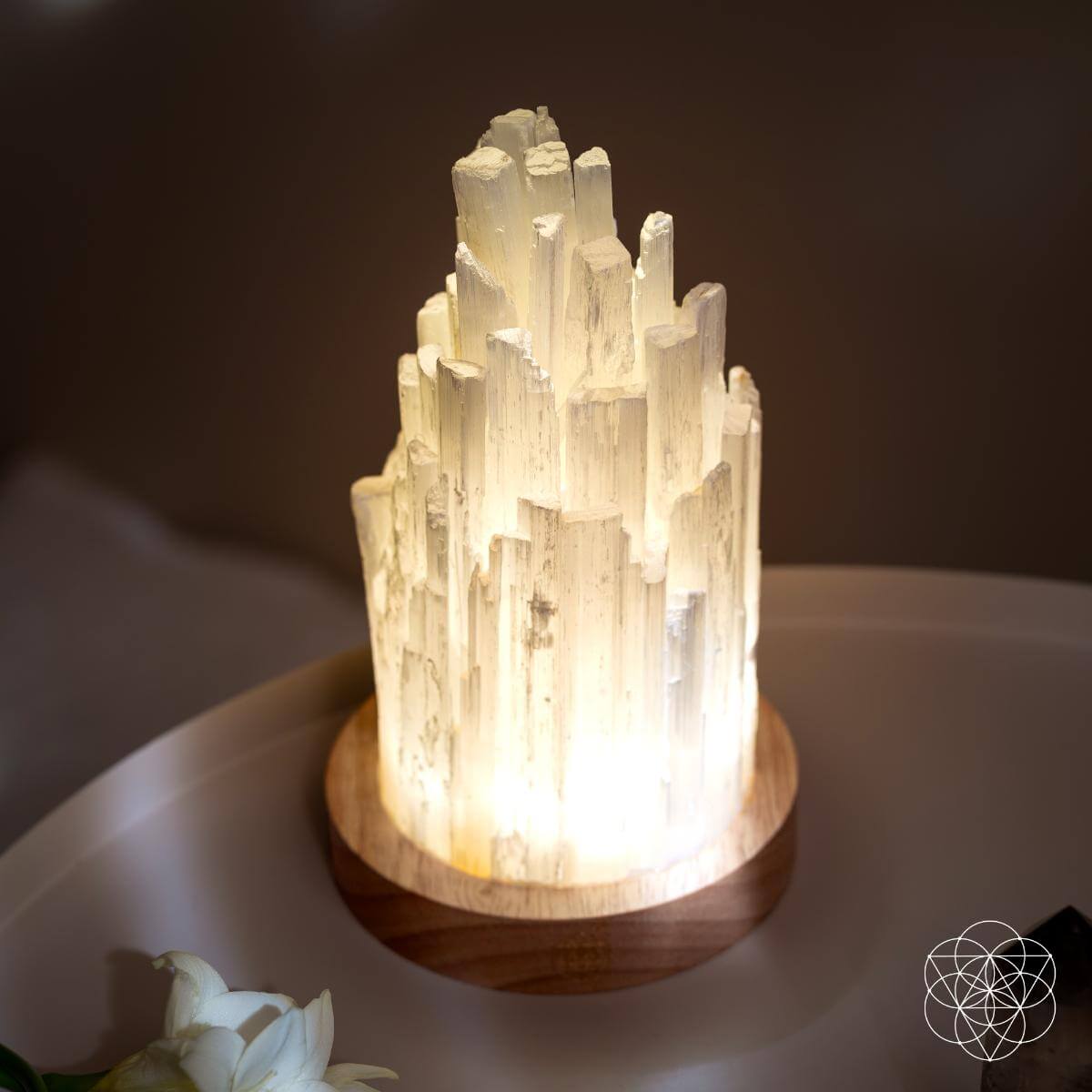 Natural Selenite Accent Lamp – Handcrafted Ambient Light